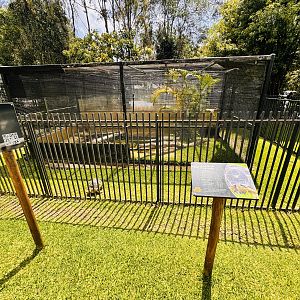 Radiated Tortoise enclosure