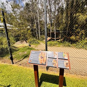 Renovated dingo enclosure
