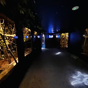 Nocturnal House general view