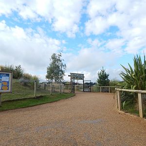 Pathway towards Point Lobos 121024