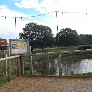 South American tapir habitat 121024