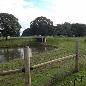 South American tapir habitat 121024