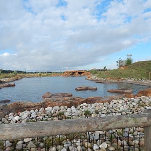 Point Lobos - California sealion habitat 121024