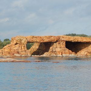 Point Lobos - California sealion habitat 121024