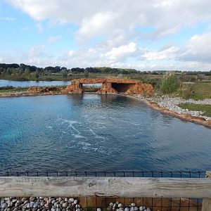 Point Lobos - California sealion habitat 121024
