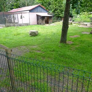 Helsingborg Djurpark - Petting zoo - Goat exhibit