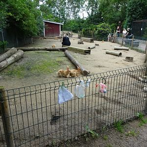Helsingborg Djurpark - Petting zoo - Rabbit exhibit #1