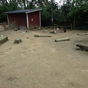 Helsingborg Djurpark - Petting zoo - Rabbit exhibit #2