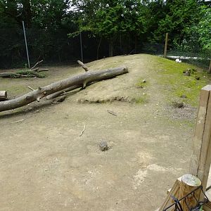 Helsingborg Djurpark - Petting zoo - Rabbit exhibit #2