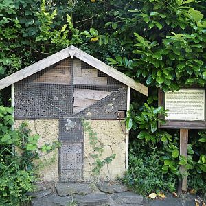 Insect hotel on the bridge connecting the two parts of the zoo, 2024-06-08