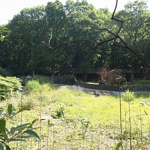 Area of former Chilean flamingo exhibit, 2024-06-08