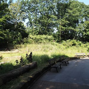 Area of former Chilean flamingo exhibit, 2024-06-08