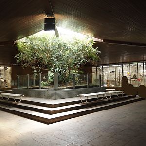 View in the Äquatorium with gorilla and mangabeys exhibits and former sloth exhibit, 2024-06-08