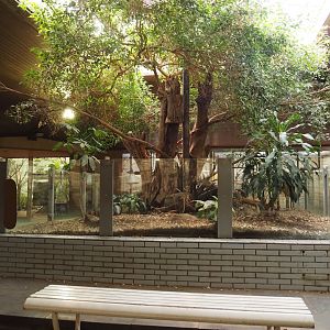 Former two-toed sloth exhibit (main hub) in the Äquatorium, 2024-06-08