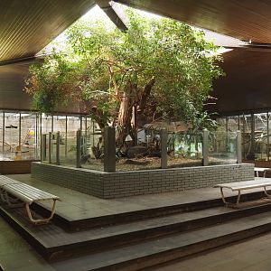 View in the Äquatorium with gorilla and mangabeys exhibits and former sloth exhibit, 2024-06-08