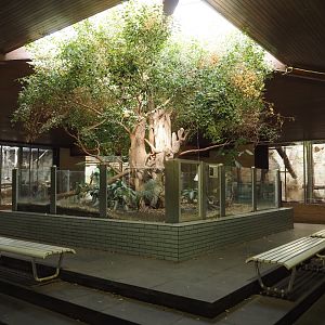 View in the Äquatorium with gorilla and orangutan exhibits and former sloth exhibit, 2024-06-08