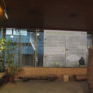 Disused primate exhibits with great ape conservation signage, 2024-06-08
