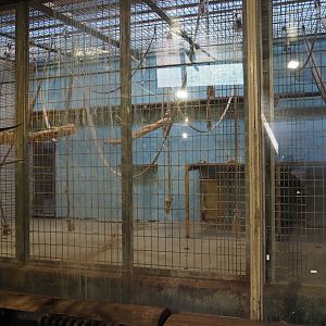 Disused monkey exhibit, 2024-06-08