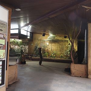 View in the Äquatorium with Grey-breasted conure and Bar-shouldered dove aviary, 2024-06-08