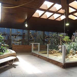 View in the Äquatorium with gibbon, King colobus and lemur indoor exhibits and tortoise exhibit, 2024-06-08