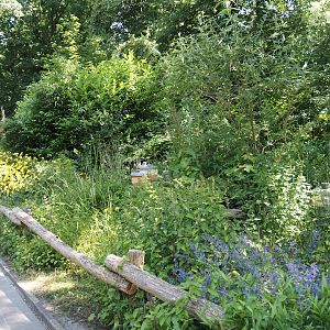 Gardens with beehives, 2024-06-08