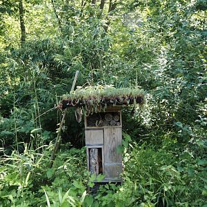 Insect hotel with living roof in gardens with beehives, 2024-06-08
