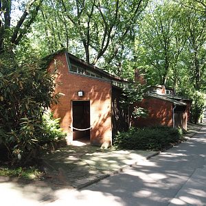 Mountain bongo and Kirk's dik-dik stable, 2024-06-08