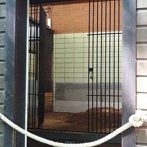 View into Mountain bongo and Kirk's dik-dik stable, 2024-06-08