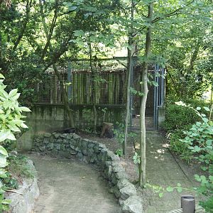 Southern white-lipped peccary holding area, 2024-06-08