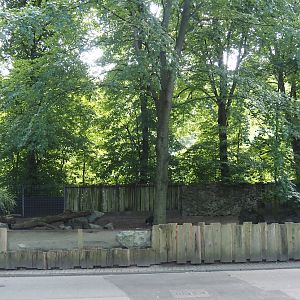 Southern white-lipped peccary exhibit, 2024-06-08
