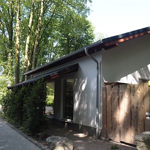 Malayan binturong house, 2024-06-08