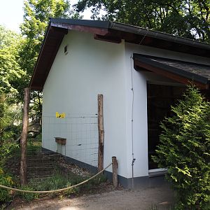 Malayan binturong house, 2024-06-08