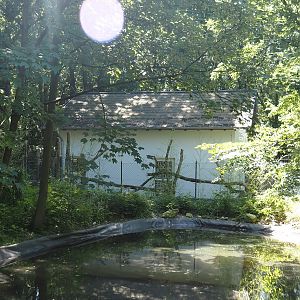 Malayan binturong house seen from the Chinese garden, 2024-06-08