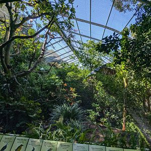 View Into Scripps Aviary