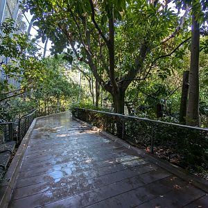 Inside Scripps Aviary