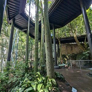 Upper and Lower Viewing Area - Monkey Trails and Forest Tales