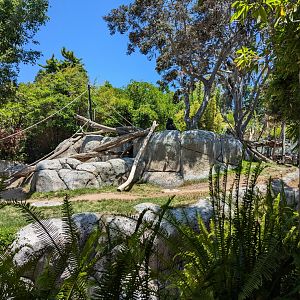 Gorilla Enclosure
