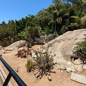 Leopard Tortoise Enclosure in Reptile Walk