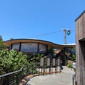 Komodo Kingdom and Skyfari