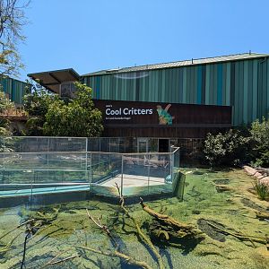 Cool Critters Exhibit