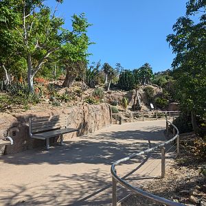 Planting in Africa Rocks Garden