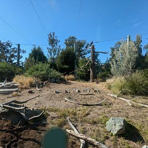 California Condor Aviary