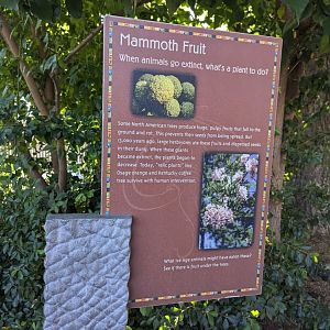 Mammoth Fruit Sign in Elephant Odyssey