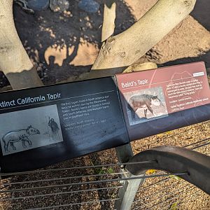 Sign About Extinct Animal and Extant Analog - Elephant Odyssey