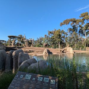 Elephant Enclosure in Elephant Odyssey