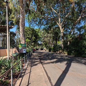 View in Underwhelming Urban Jungle Exhibit