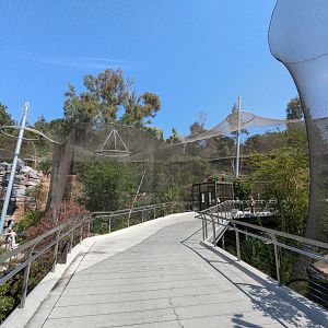 Africa Rocks Walkway