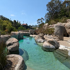 African Penguin Exhibit