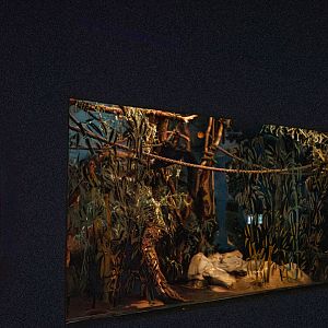 One of the Aye Aye enclosures