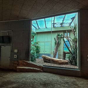 Lion indoor enclosure